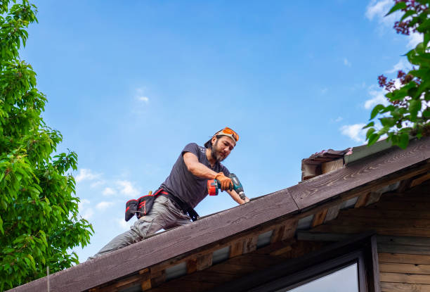 Professional Roofing services in Shannon, GA