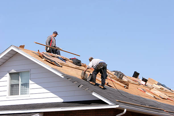 Best Sheet Metal Roofing  in Shannon, GA